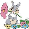 bunnylover24 profile image