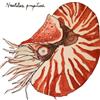nautilus profile image