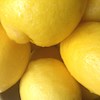 Lemon-trees profile image