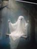 Whiteghost profile image