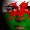 FTWW_Wales profile image