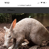 aardvark68 profile image