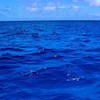 deepocean profile image