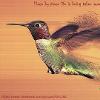 Hummingbird_ profile image