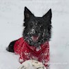 Kilnhurstc profile image