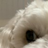 DaisyCL profile image