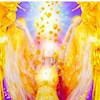 starangel profile image