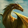 dragonrider profile image