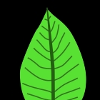 LeafGump profile image