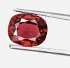 Spinel_Cutter profile image