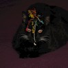 blackcat2 profile image