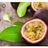 Passionfruit profile image