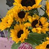Sunflower444 profile image