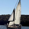 sailrace profile image