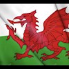 Welshman41 profile image