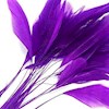Purplefeathers profile image