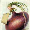 whimsical-onion profile image