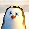 Penguinsmall profile image