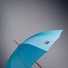 Parapluieblue profile image