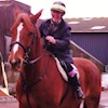 horseaddict profile image