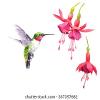 Hummingbird87 profile image