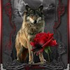 Wifeofwolfe profile image