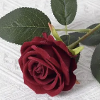 Bloodredroses profile image