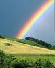 Rainbow_weather profile image