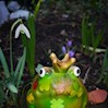 Frog18 profile image