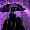 Purple-Rain profile image