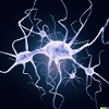 Neurosmith profile image