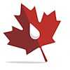 CLL_Canada_Group profile image