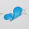 Dutch_Butterfly profile image