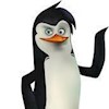 Penguins_Rock profile image