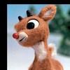 Rudolph26 profile image