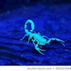 Bluescorpion profile image