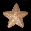 Star13 profile image