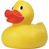 Rubber_Ducky profile image