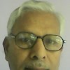 raman455 profile image