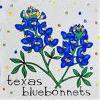 TX-Bluebonnet profile image