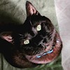 Black_cat022 profile image
