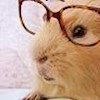 HamsterHam profile image