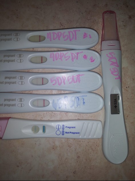 Ivf Bfp Progression Lines Starting At Fertility Network Uk