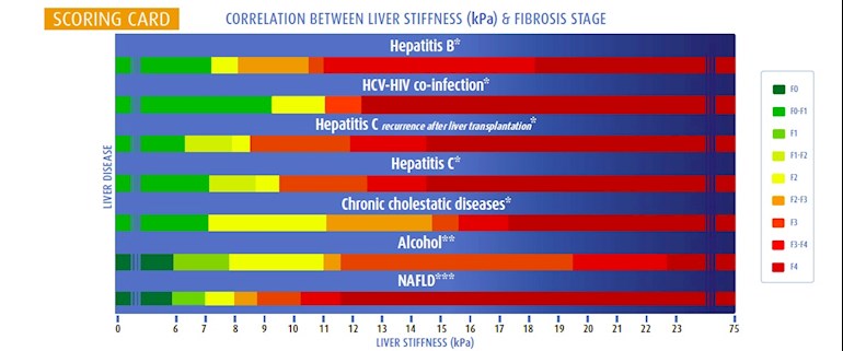 Liver Fibroscan Score Chart