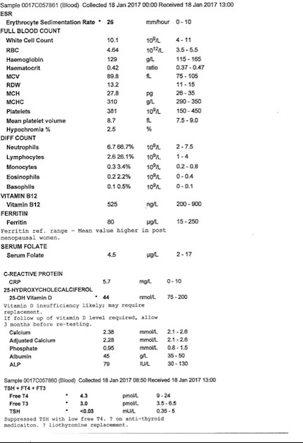 Help With Blood Test Results Hello Everyone So Thyroid Uk