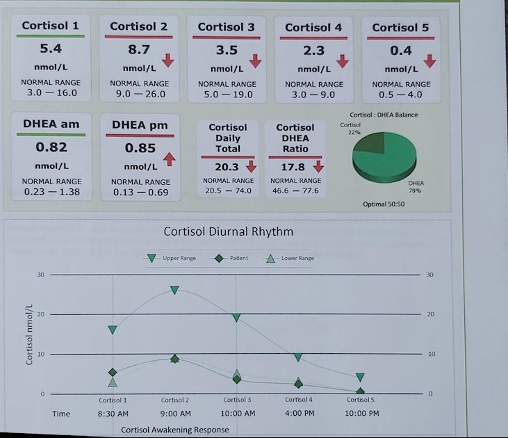 High DHEA Low Cortisol Saliva Test Results Thyroid UK
