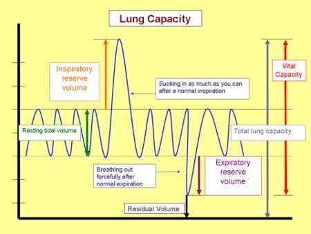 Lung Capacity Chart