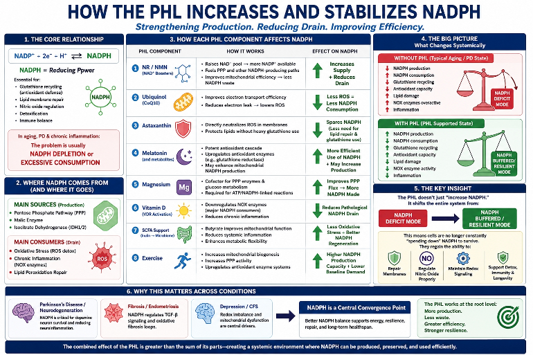 Phl3 The Positive Health Loop (PHL), NADPH ... | Cure Parkinson's