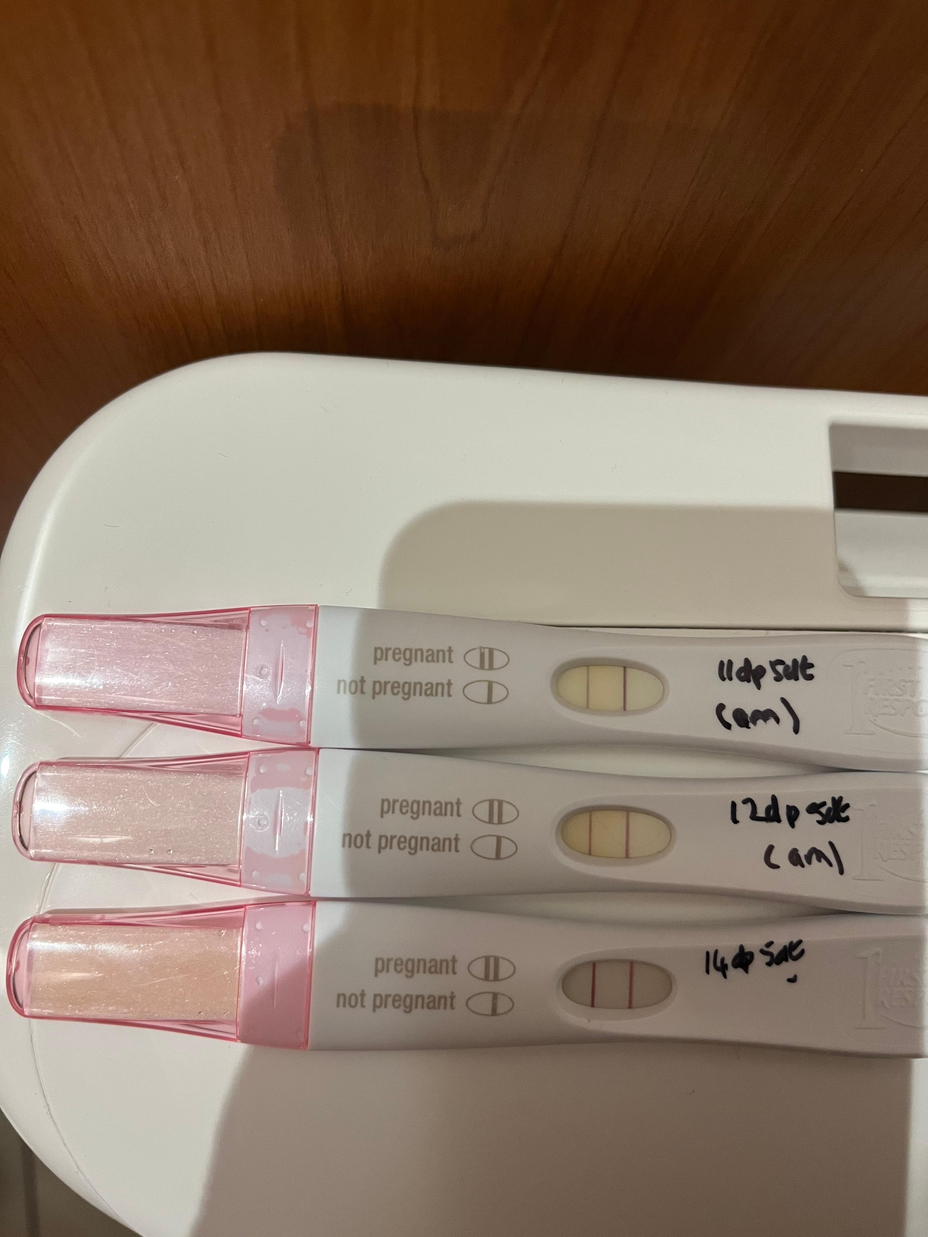 11dp5dt -pink and brown spotting - Fertility Network UK