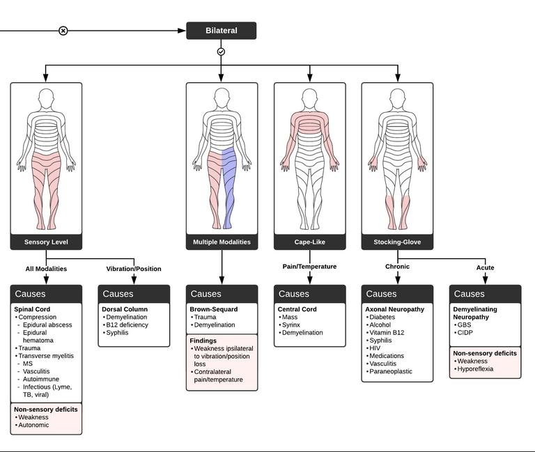 cjc-1295 ipamorelin safety data ipamorelin peptide dosage per day CJC-1295/Ipamorelin Benefits, Side  Effects, and Cost: The Complete Patient Guide